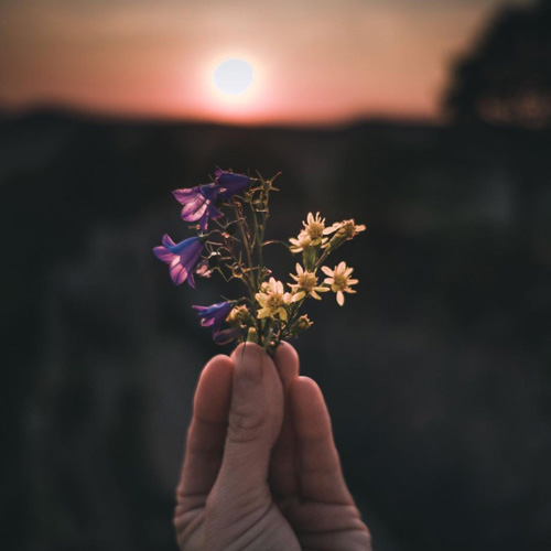 Soapbubbbbles_fleurs