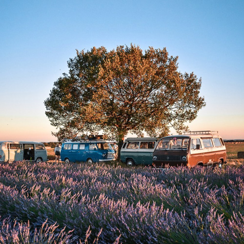 Adri surf sport vanlife lavande Valensole